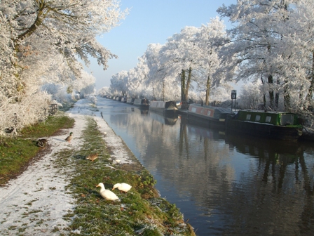 Cruise the canals over Christmas