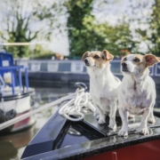 Canal boat holidays are great for pets