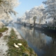 Celebrate Christmas on the Canals